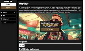 Mr Punter Casino Site Evaluation 2026